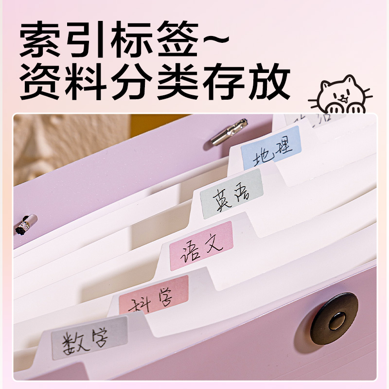 纵横PM329线条独白8格便携学生风琴包(混)(个)