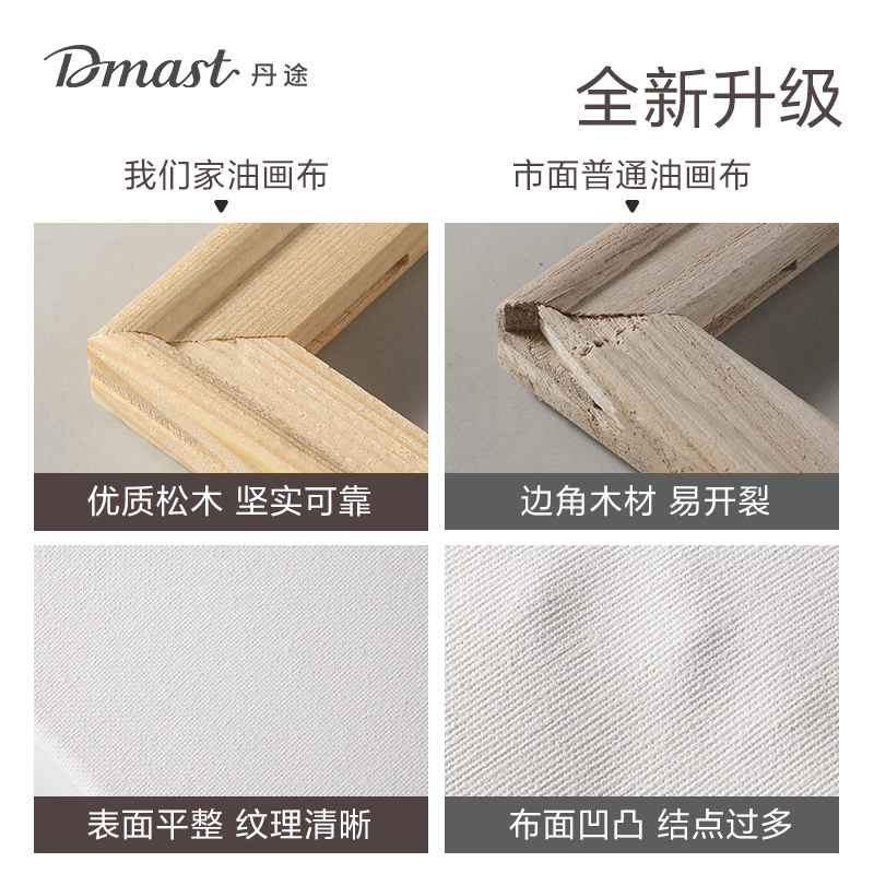 dmast丹途RS100-2画布框-20*20cm(混)(个)