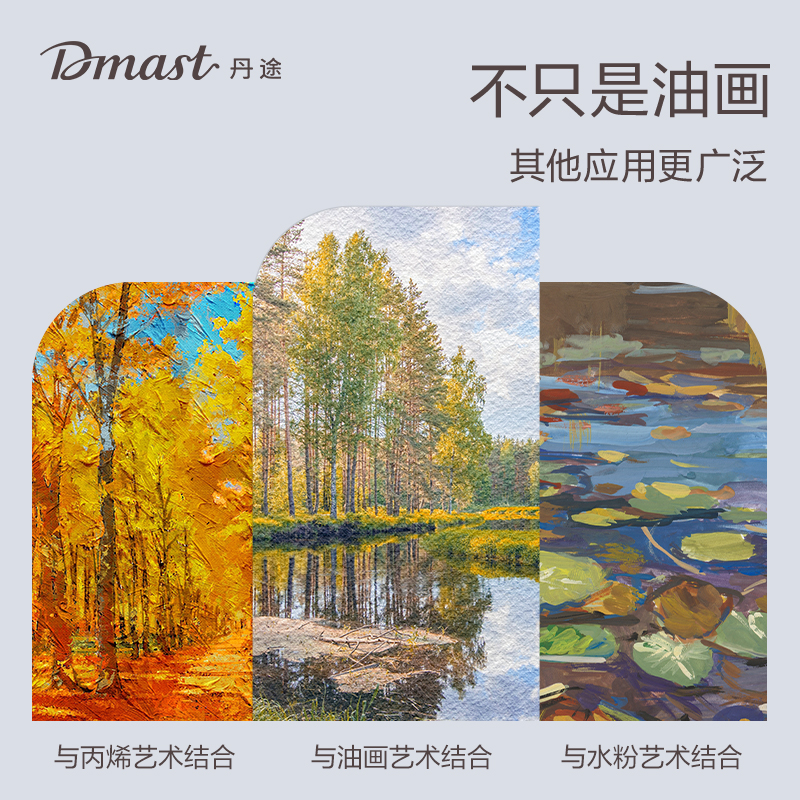 dmast丹途RS100-2画布框-20*20cm(混)(个)