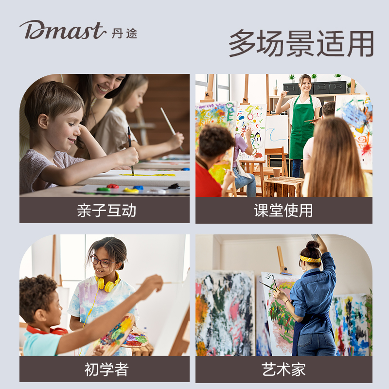 dmast丹途RS100-2画布框-20*20cm(混)(个)