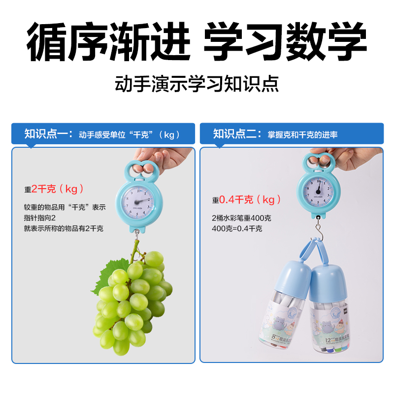 纵横YX530学具教学手提秤(混)(个)