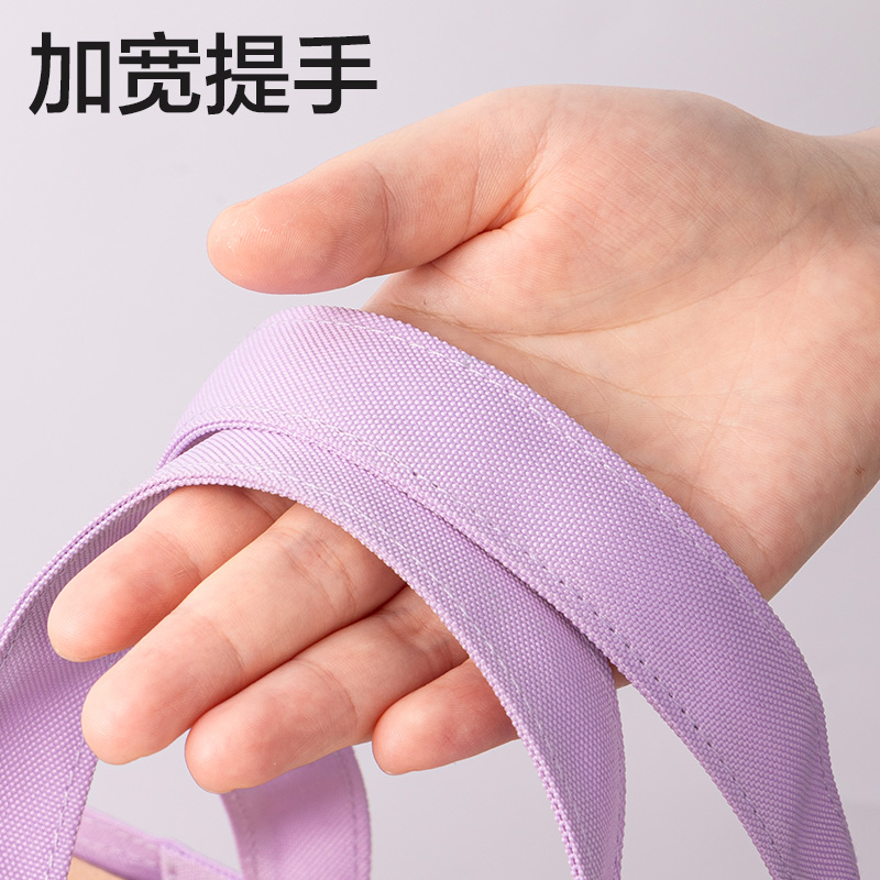 纵横BA202卡通系列补习袋(混)(个)