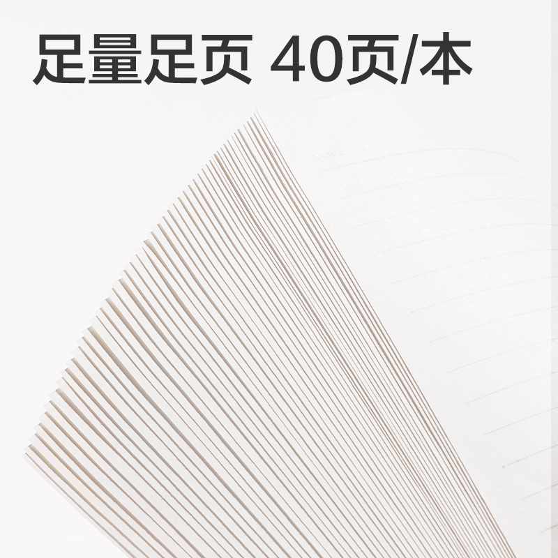 纵横LPB580-V牛盾PP软线圈本(牛盾-横线)(本)