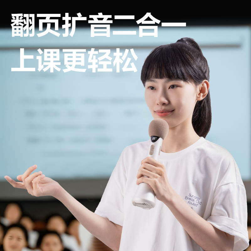 纵横LT200演讲宝便携音响(灰)(台)