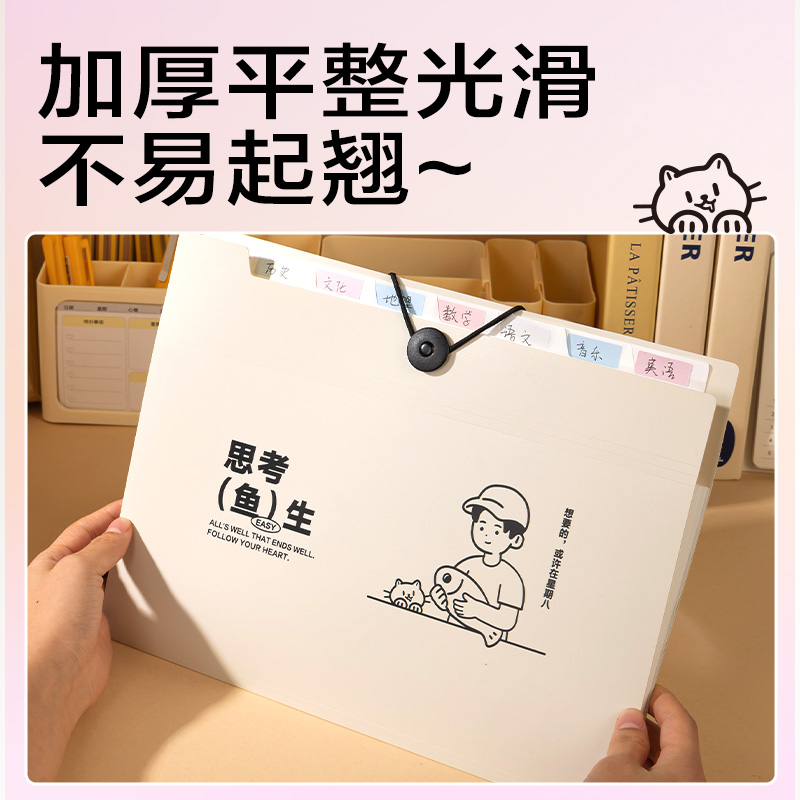 纵横PM329线条独白8格便携学生风琴包(米)(个)