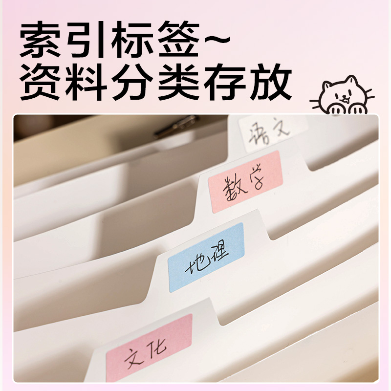 纵横PM329线条独白8格便携学生风琴包(米)(个)