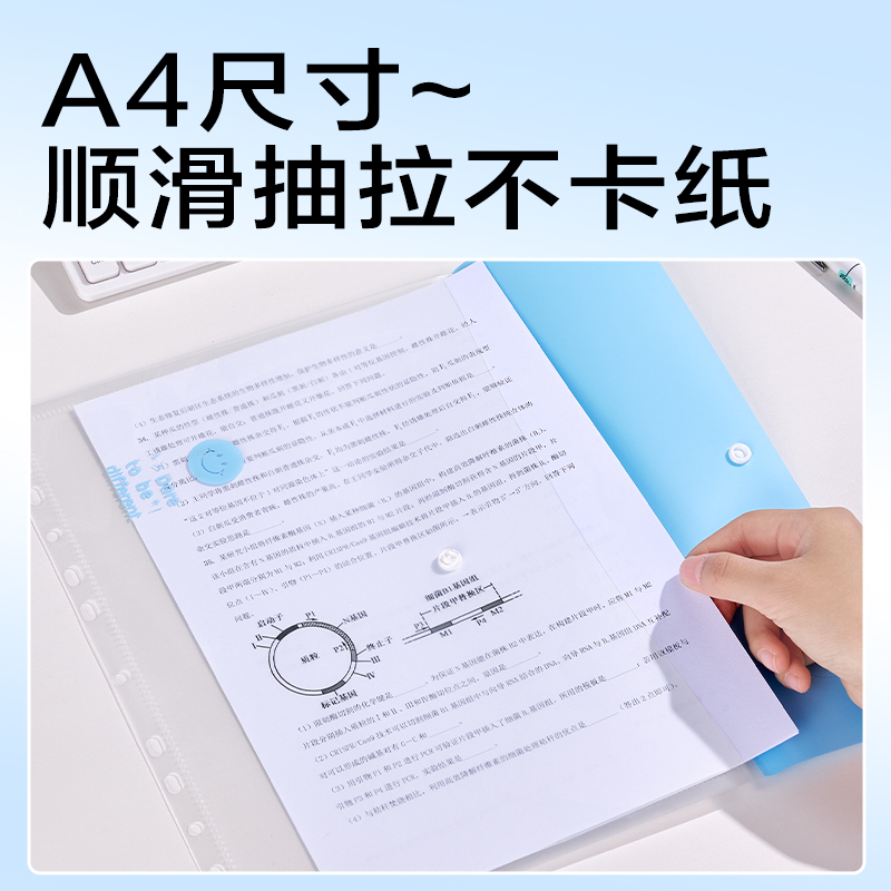 纵横PE135_PP3孔夹(米)(个)