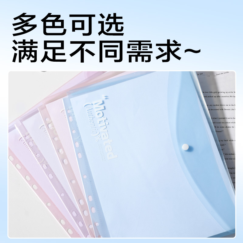 纵横PP306活页文件袋(混)(4个/包)