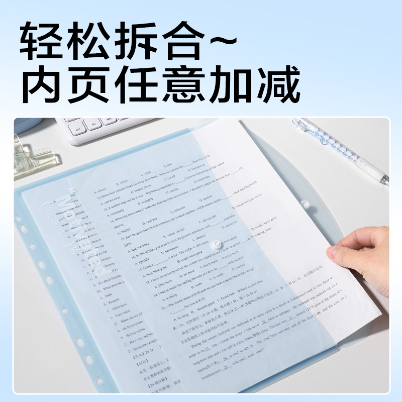 纵横PP306活页文件袋(混)(4个/包)