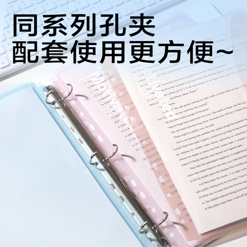纵横PP306活页文件袋(混)(4个/包)