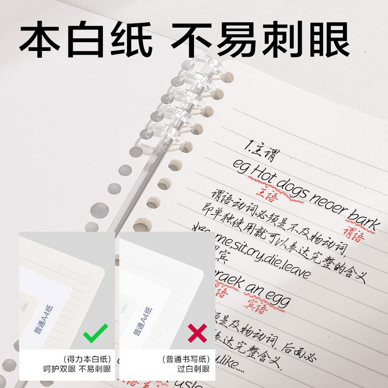 纵横BDHB5-02可开合活页本-B5 50张(地理)(本)