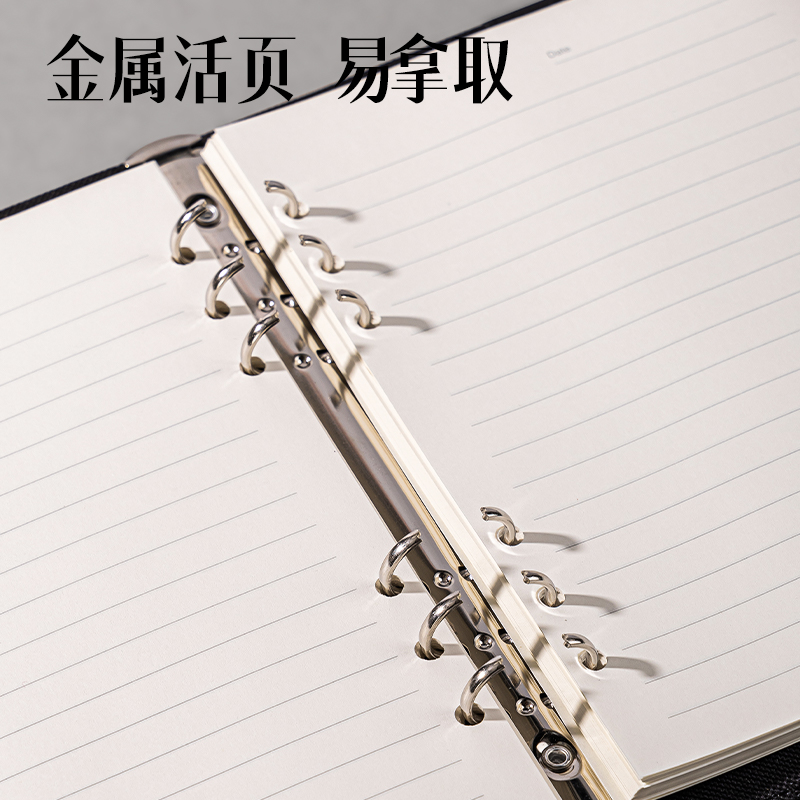 纵横DP405办公活页皮面本-25k-210*145mm-100张(黑色)(本）
