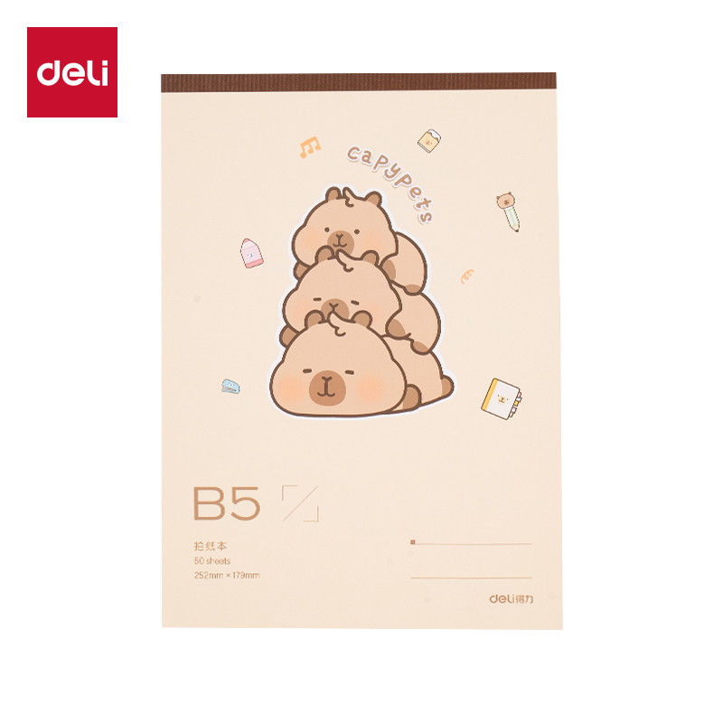 纵横BL210卡皮巴拉拍纸本-B5 60张(黄)(本)