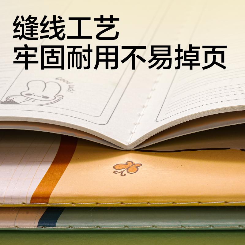 纵横BDFB5-04缝线本-B5 30张(听写-拼音田字格)(本)