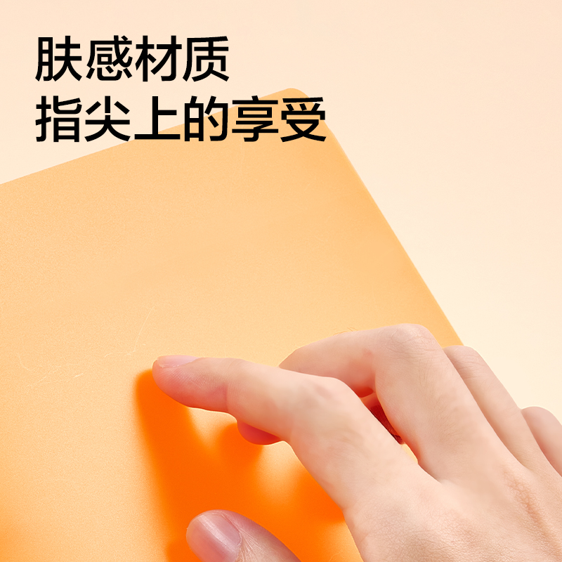 纽赛NS361-B5双孔资料收纳夹(混)(个）