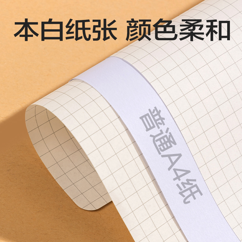 纵横BDN20-01活页芯-193*207mm 60张(方格)(本)