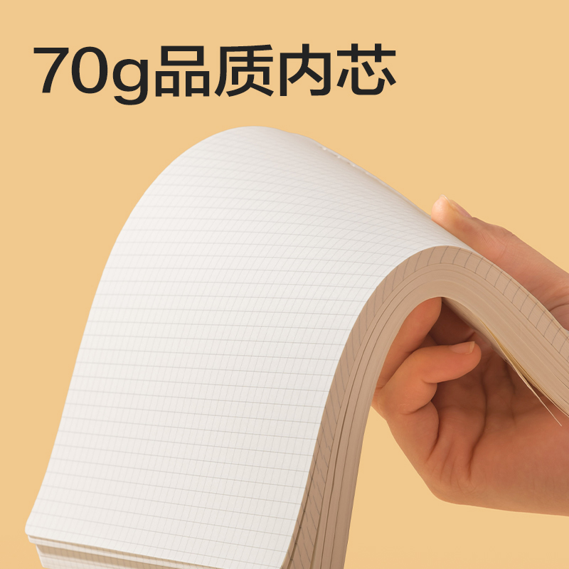 纵横BDN20-01活页芯-193*207mm 60张(横线)(本)