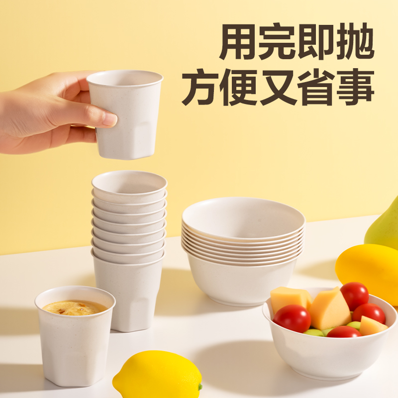 纵横得心LL257 一次性餐具套装(杯、碗、勺、筷)(混)(10人份装)