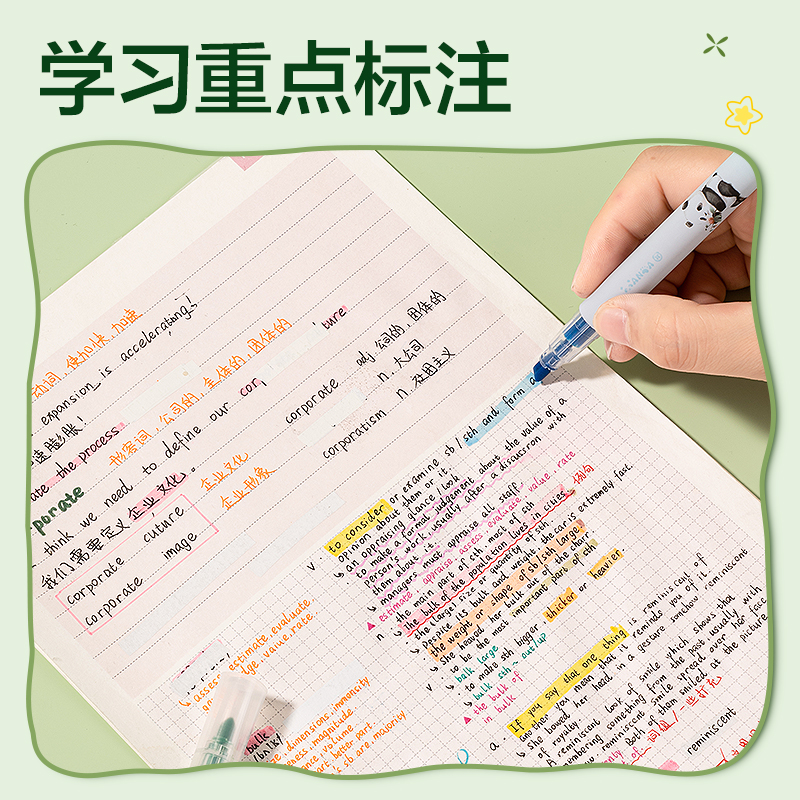 纵横SK181熊猫荧光笔(混)(盒)