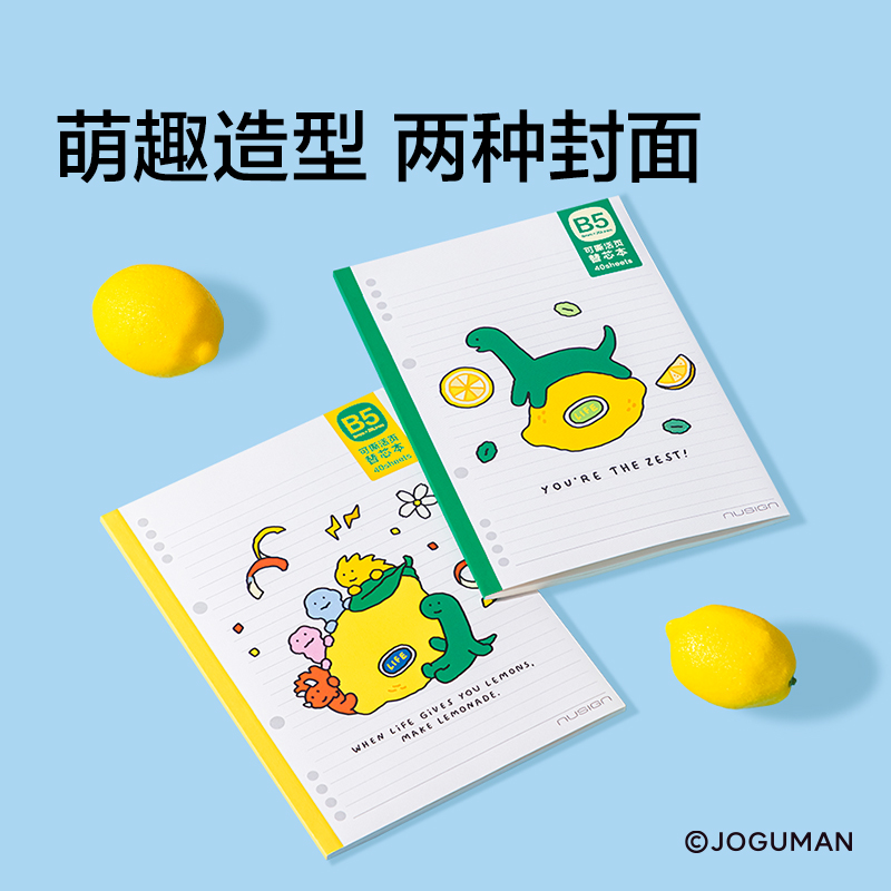 纽赛NS313-Q乔古漫活页替芯本-B5(混)(40张/本)