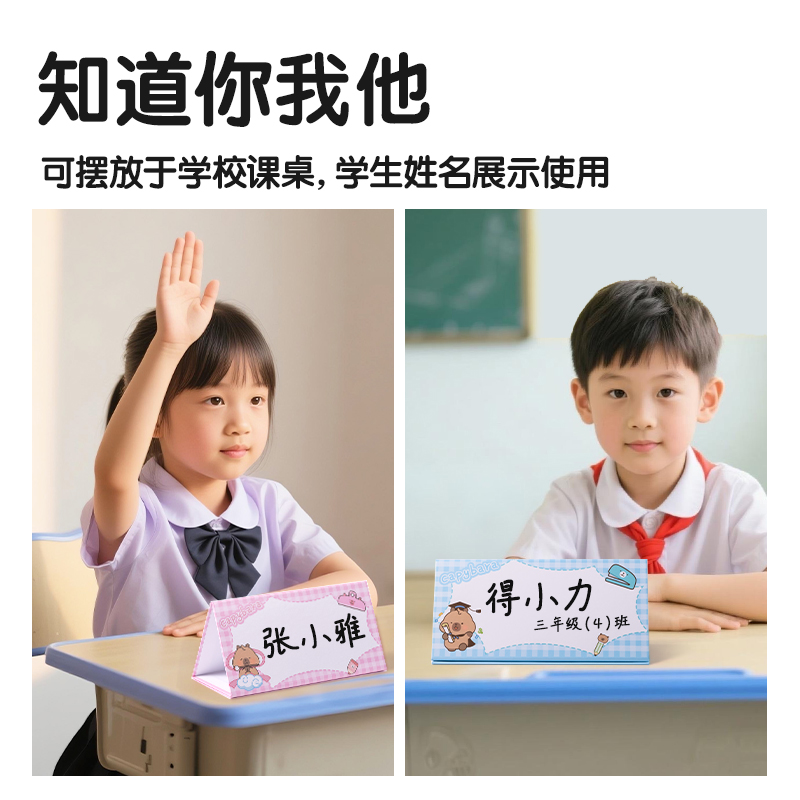 纵横HW703-B磁吸姓名桌牌(粉)(套)