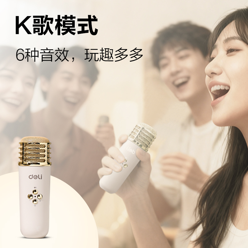 纵横LT310B复古款K歌音响(双麦)(米)(台)