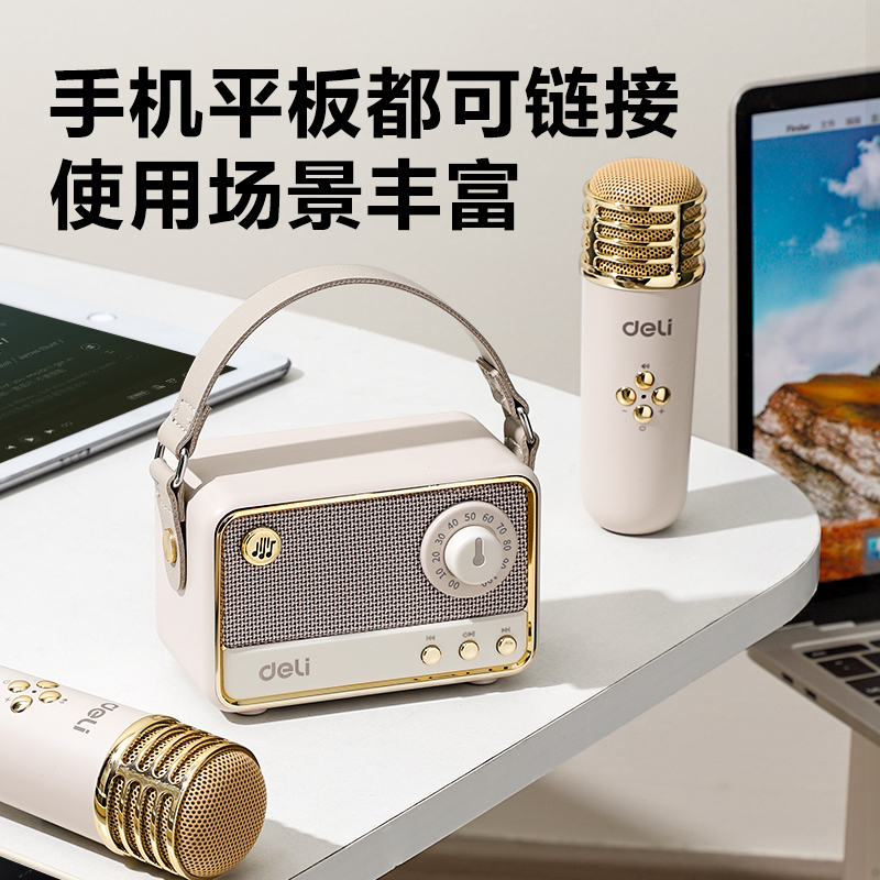 纵横LT310B复古款K歌音响(双麦)(米)(台)