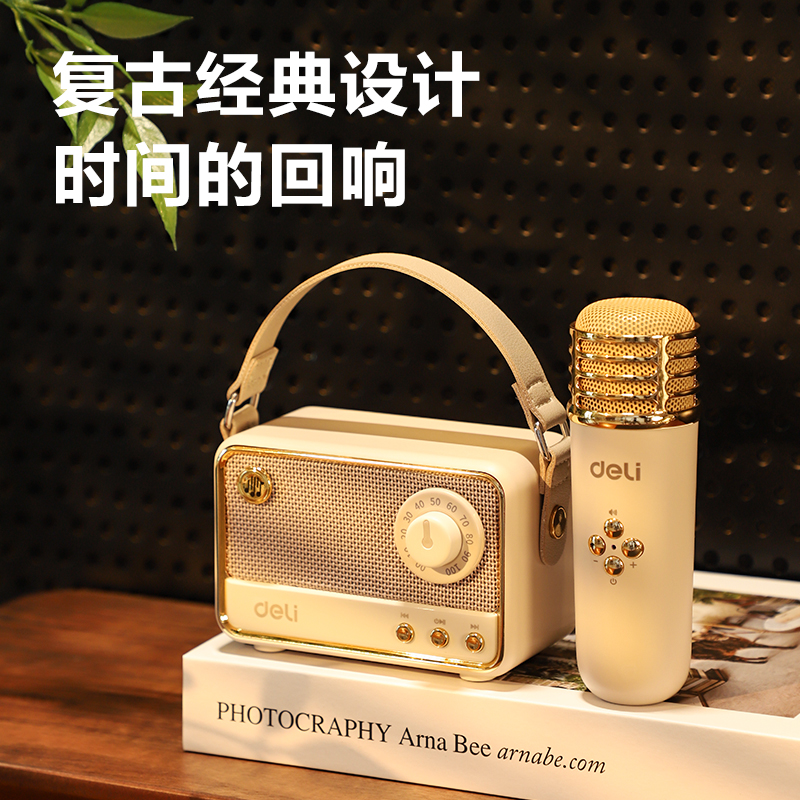 纵横LT310B复古款K歌音响(双麦)(米)(台)