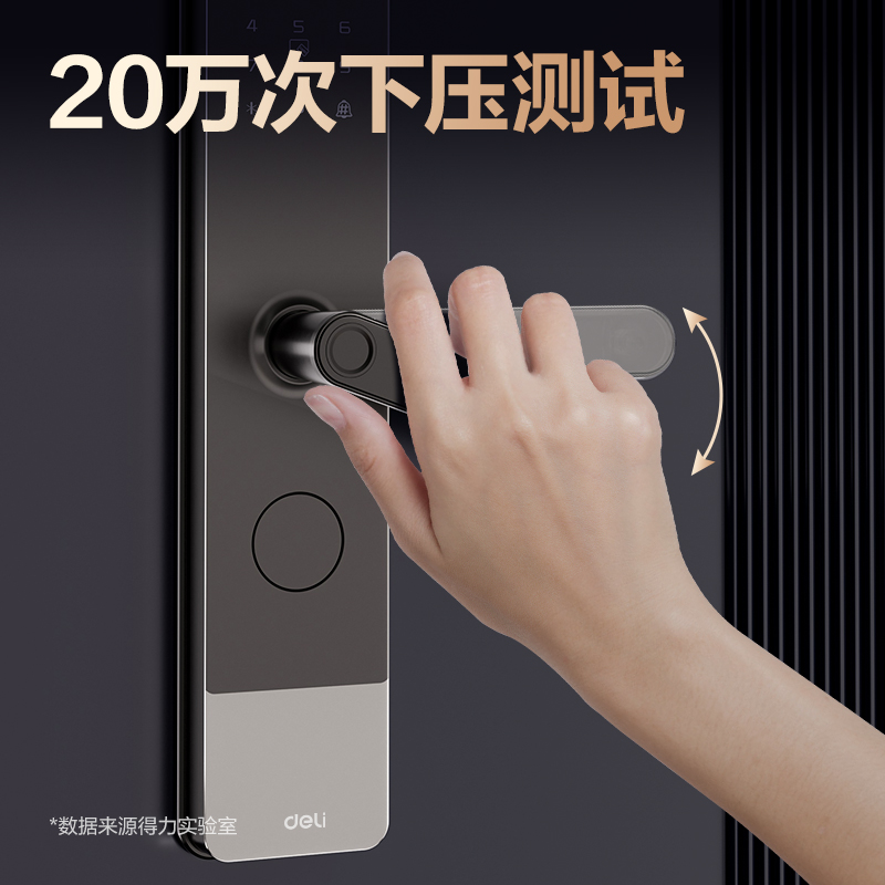 纵横AL310门禁设备及配件智能门锁(黑)(台)