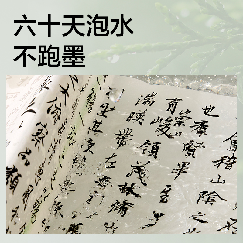 纵横HW310-250一得阁联名零甲醛墨汁(250g)(黑)(盒)