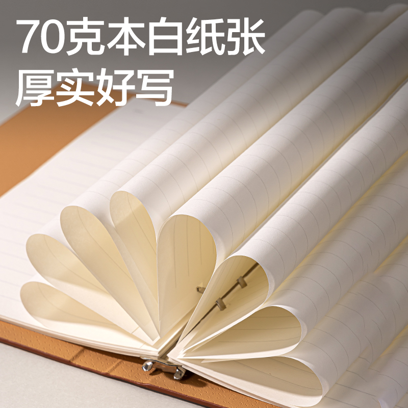 纵横BP10商务活页皮面本-A5-80张(棕)(本)