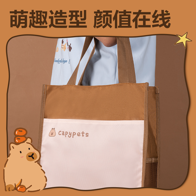 纵横BL757卡皮巴拉简约补习袋(混)(个)