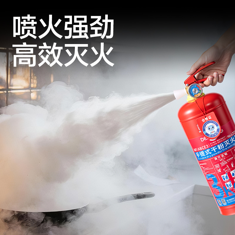 纵横得心LZ202手提式干粉灭火器2KG(红)(1瓶/箱)