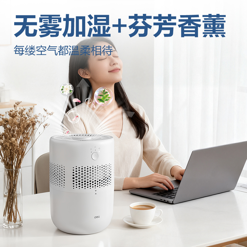 纵横LD590加湿器(白)(台)