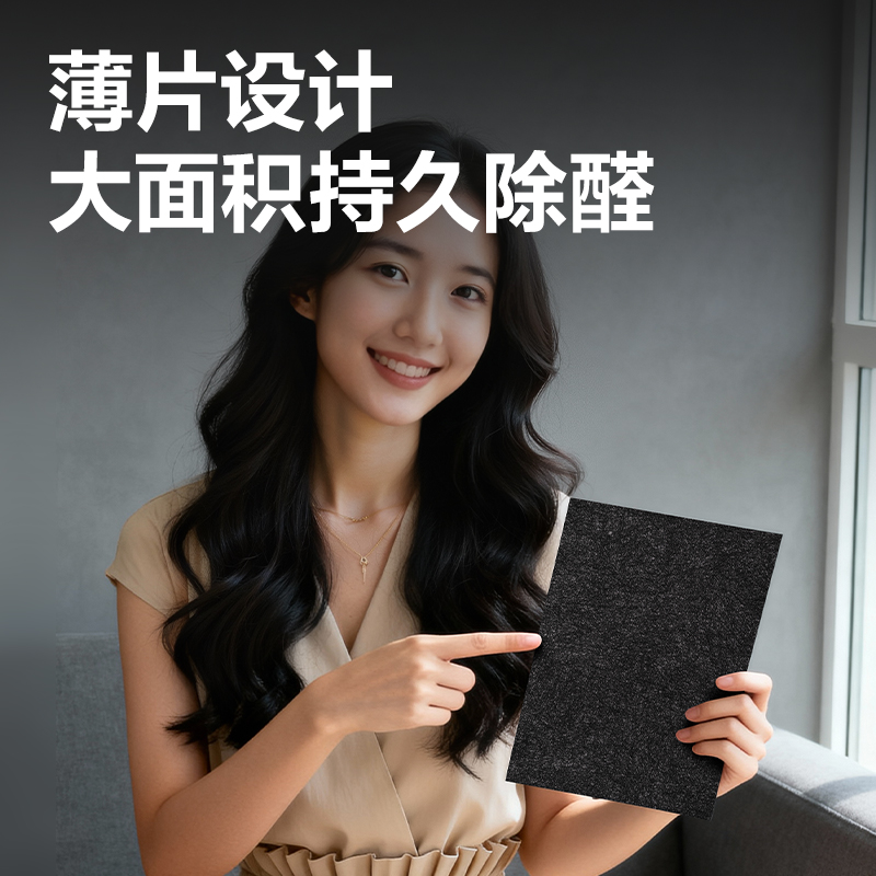 纵横LZ341活性锰除醛片10片(黑)(包)