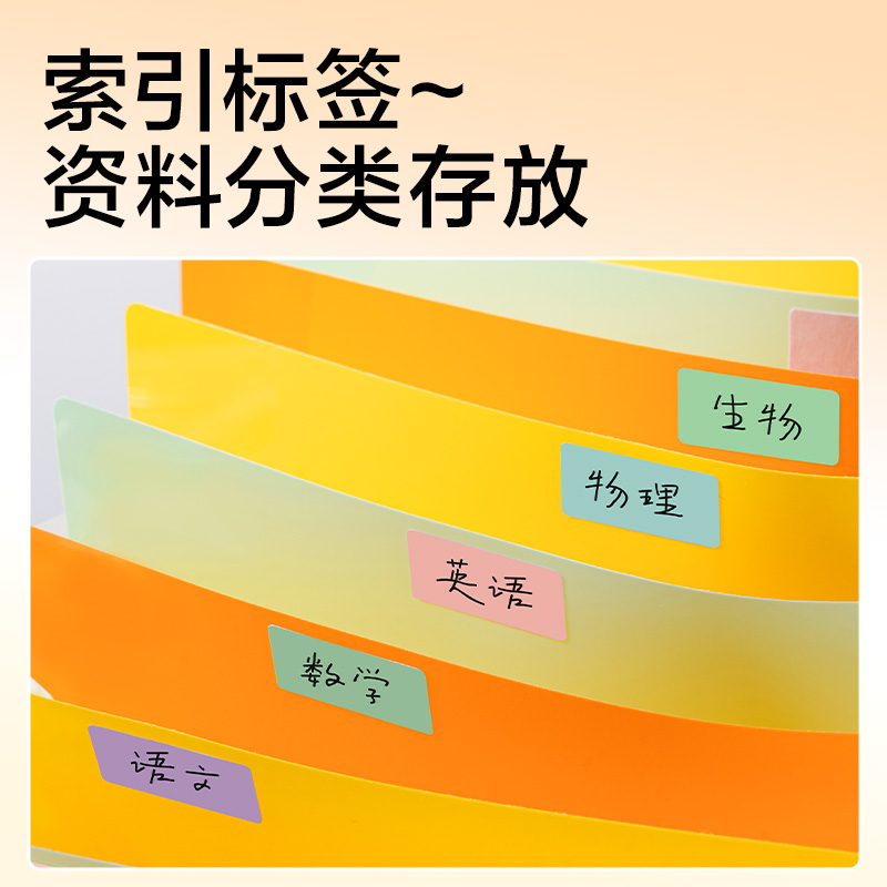 纵横PM361竖式13格彩虹内页风琴包(透明)(个)