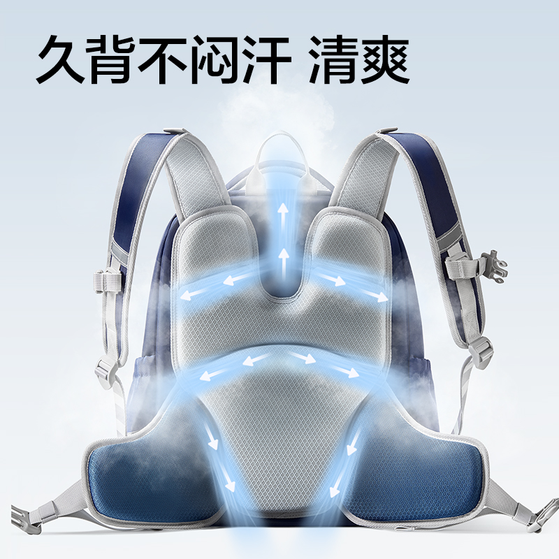 纵横BB225矫姿大翻盖书包(蓝-L)(个)