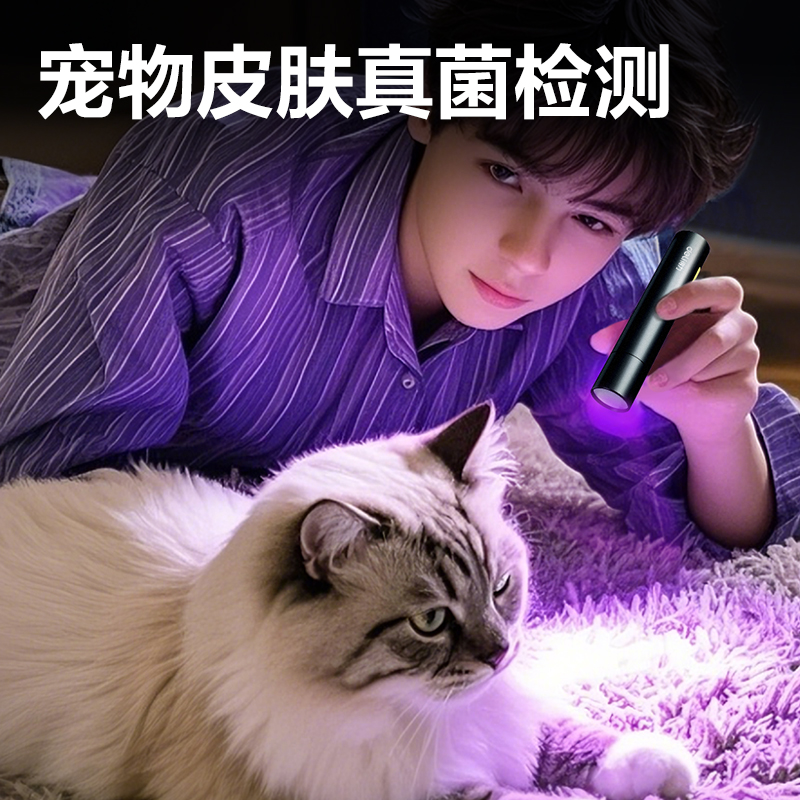 纵横MA801紫光灯(黑)(支)