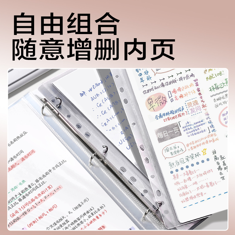 纵横PE136_PP3孔夹(棕)(个)