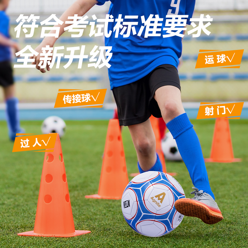 安格耐特FD206考满分机缝PVC花色5号考试足球(混色)(只)