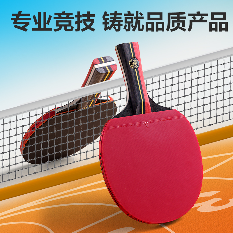 安格耐特FH223考满分三星级考试乒乓拍(单拍)(混)(只)