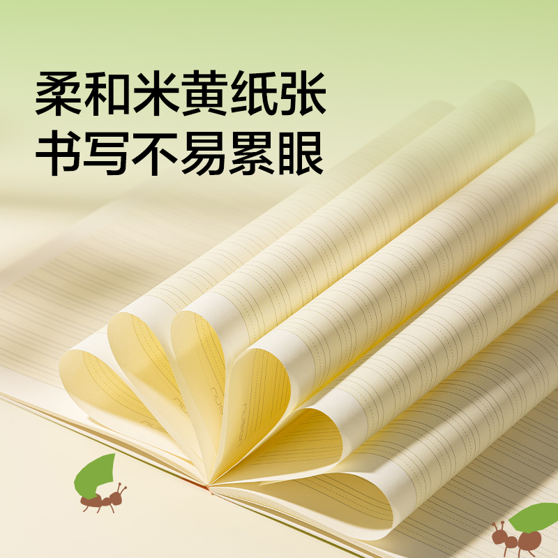 纽赛NS350-F目愈森林科目本A5-30张（田字格)(本）