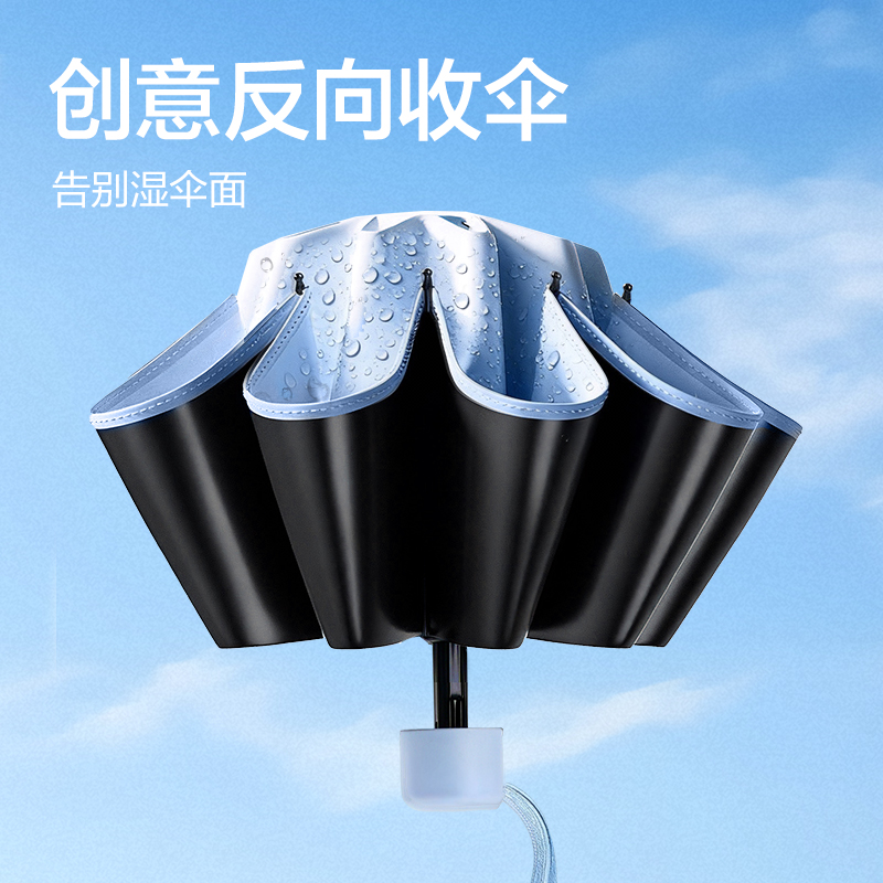纵横LY588雨伞套装(混)(套)
