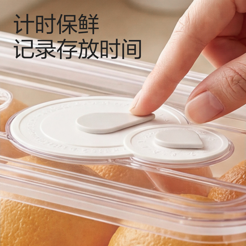 纵横XDM220冰箱收纳盒(大号)(透明)(盒)
