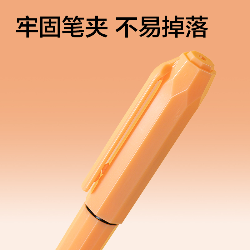 纵横SF581学生钢笔(混)(1支/盒)