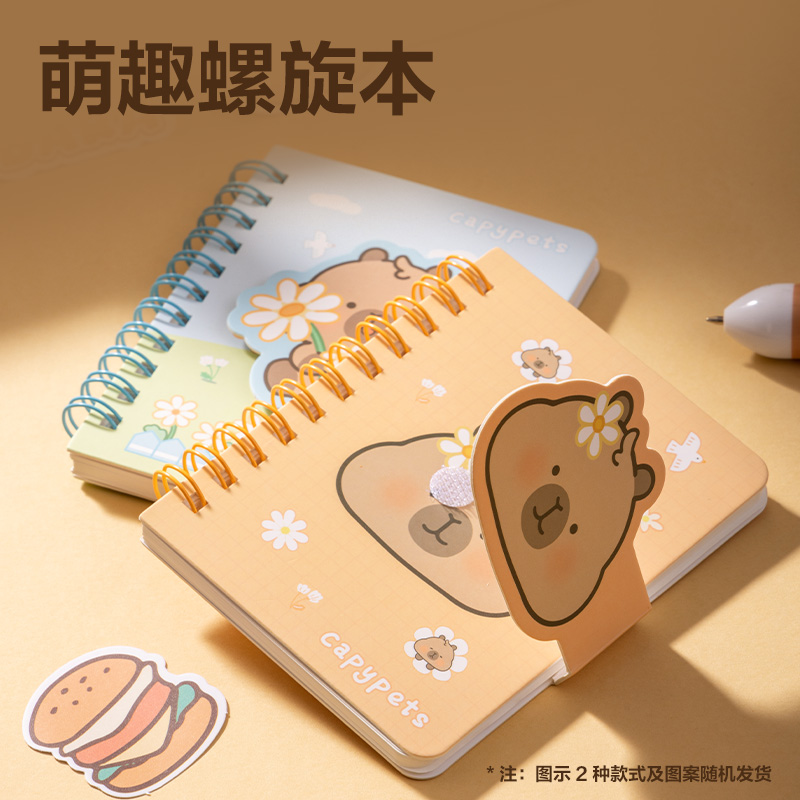 NN2495A纵横卡皮巴拉文具福袋套装(混)(袋)