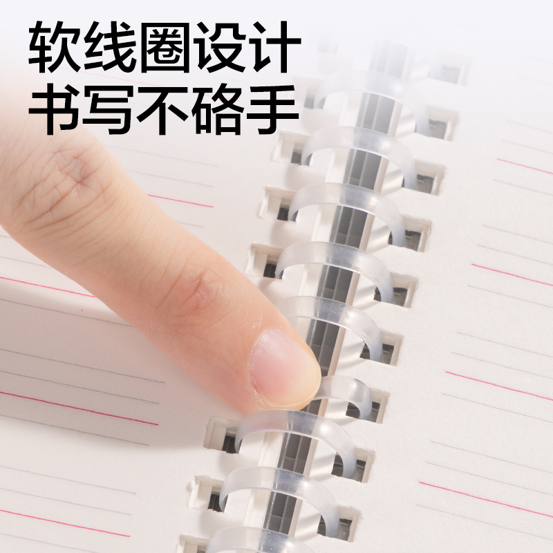纵横LPB580-V牛盾PP软线圈本(牛盾-英语)(本)
