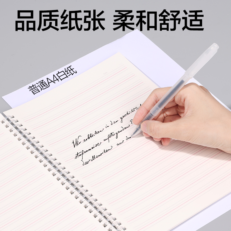 纵横LPB580-V牛盾PP软线圈本(牛盾-英语)(本)