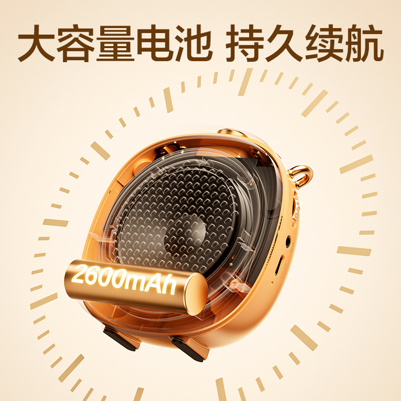 纵横LT941J领夹麦扩音器(金)(台)