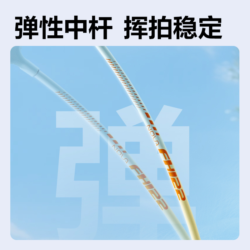 安格耐特FH122-B铁合金羽毛球拍-带3球-带护套(蓝粉、蓝黄)(付)